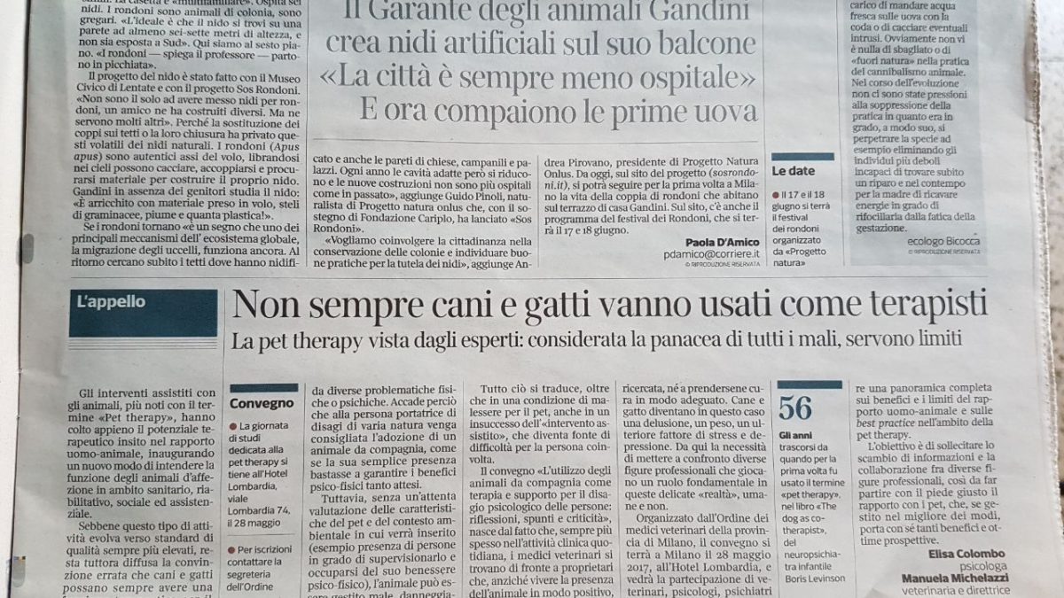 Pet Therapy - Libero Quotidiano